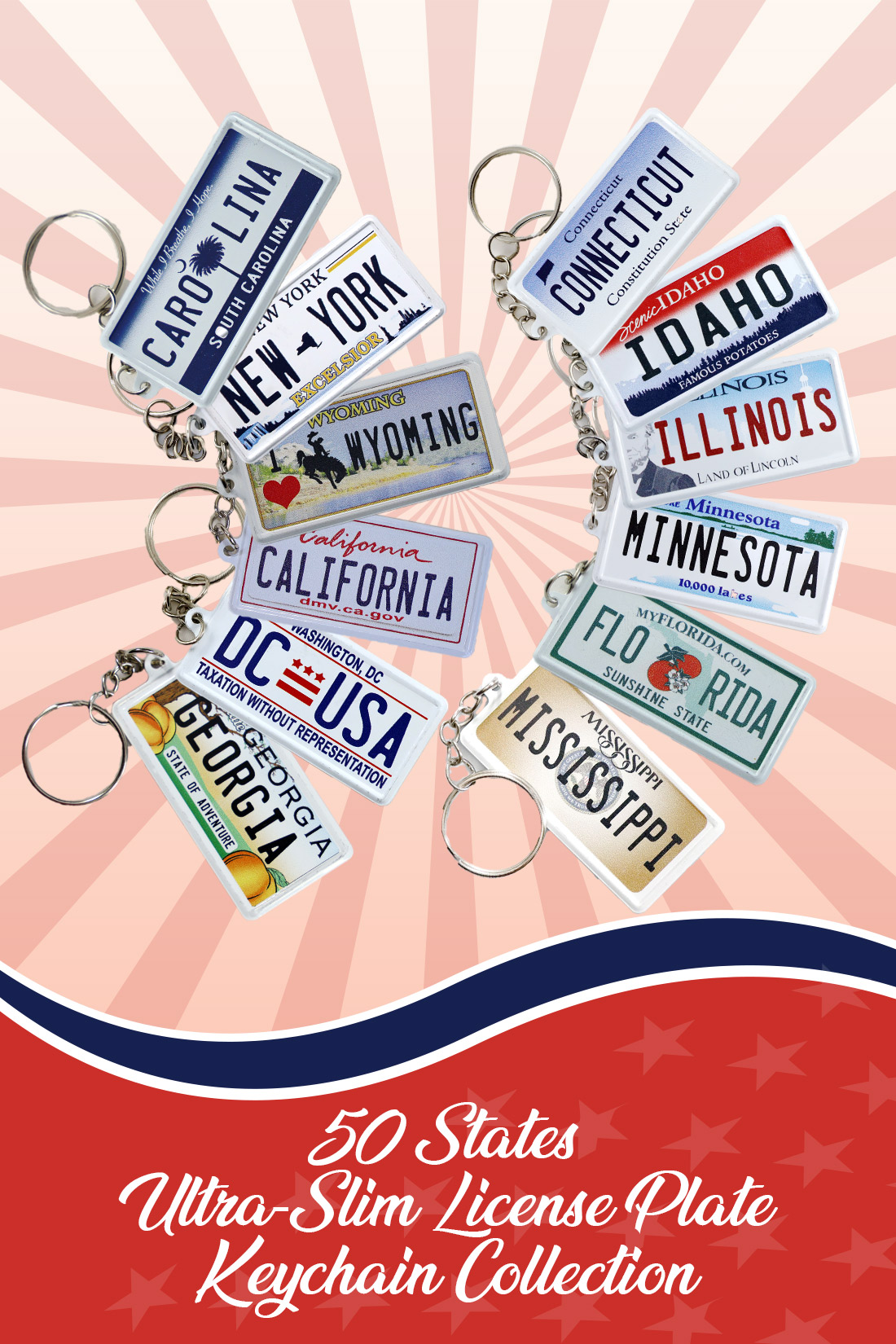 50 States State License Plate Ultra-Slim Keychain Collection